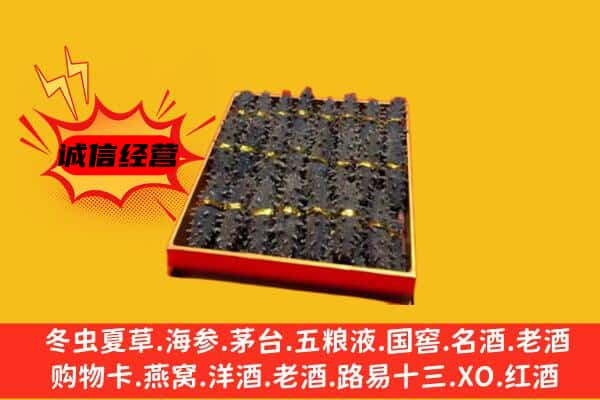 宿迁泗洪县回收海参